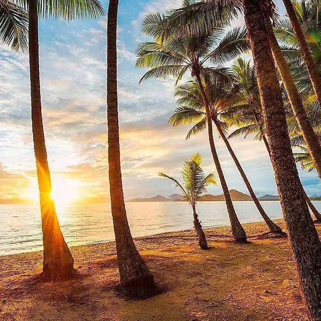 Tropical Paradise Palm Cove Australia